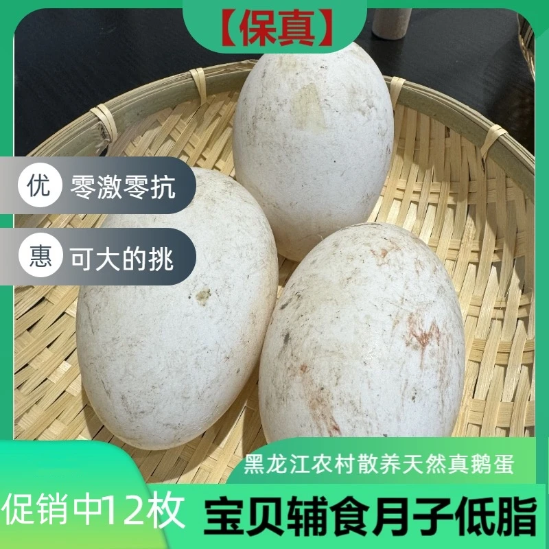 【纯散养】东北黑龙江特大鹅蛋孕妇宝宝散养土鹅蛋种蛋当天现捡新鲜
