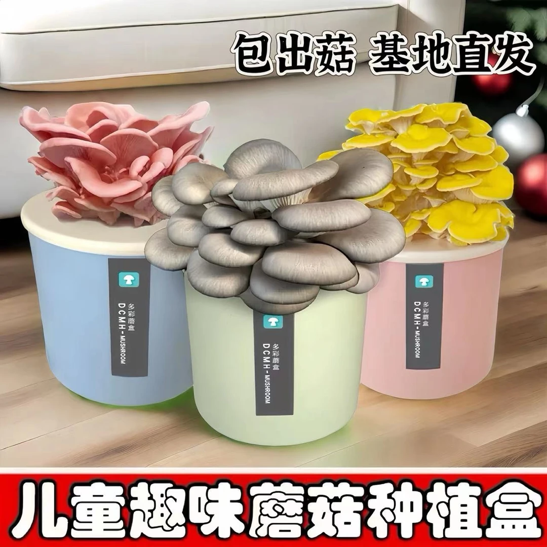 【包出菇】蘑菇种植桶家庭室内种植蘑菇菌包平菇科学小实验观察日记