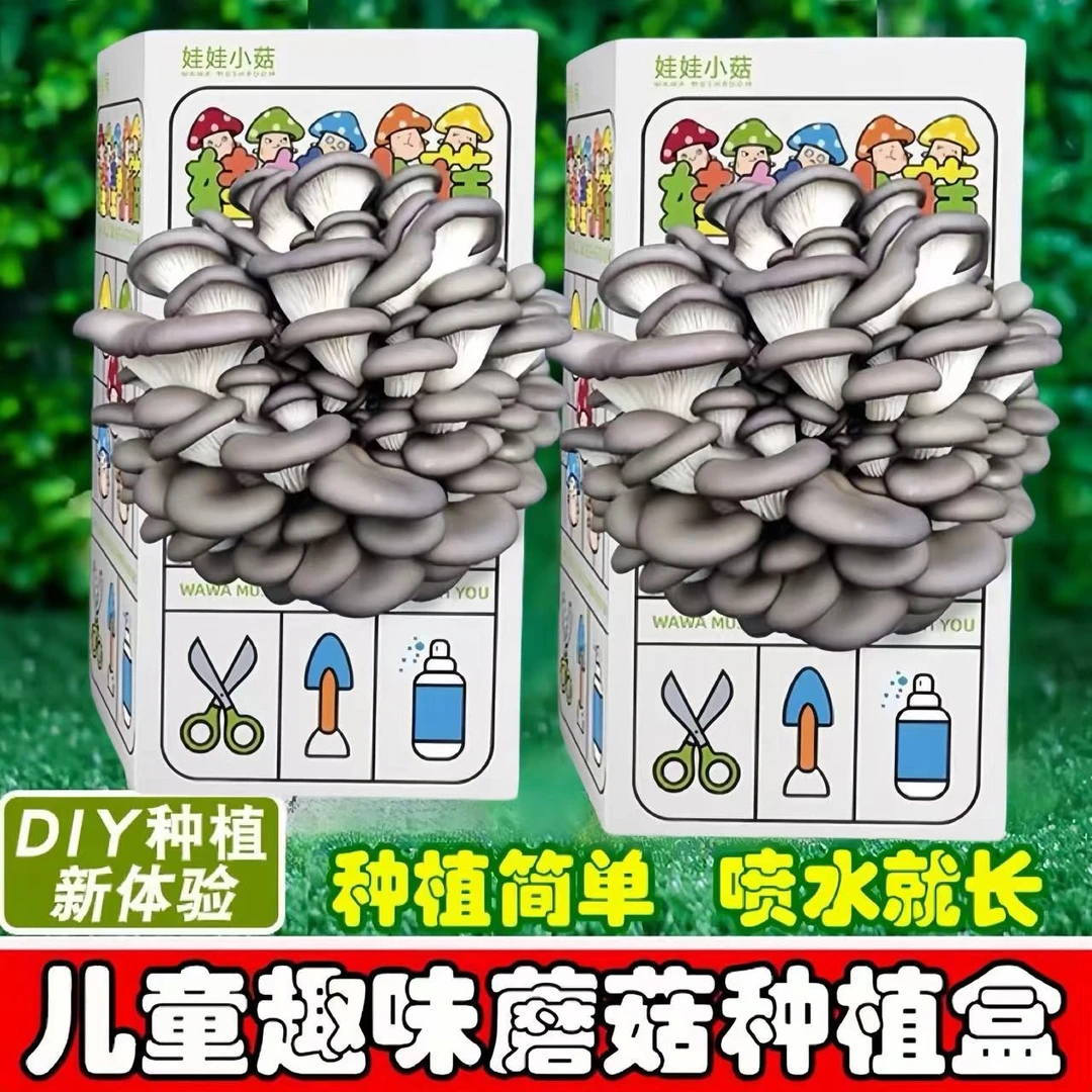 蘑菇种植菌包儿童种蘑菇盒子观察化学生长科学小实验平菇家庭种植