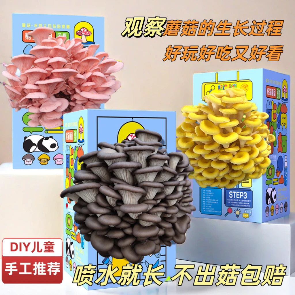 【老师推荐】蘑菇种植菌包儿童植物生长观察日记科学小实验益智玩具