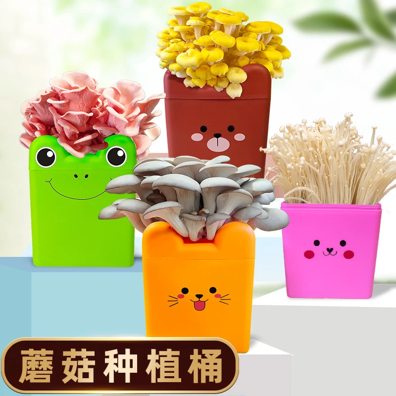 蘑菇种植菌包儿童种植盆栽玩具室内种蘑菇观察植物生长科学小实验