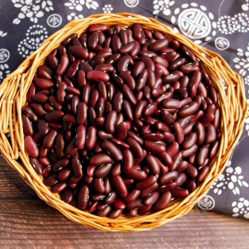 2023新豆云南大粒红腰豆红芸豆豆沙馅豆类五谷杂粮新/0lb蔬菜组合