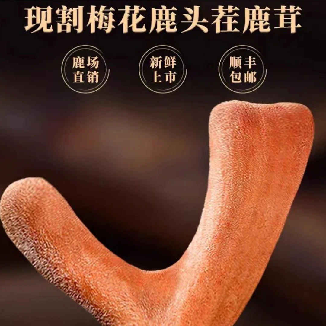 鹿茸 产地直发，直播选购