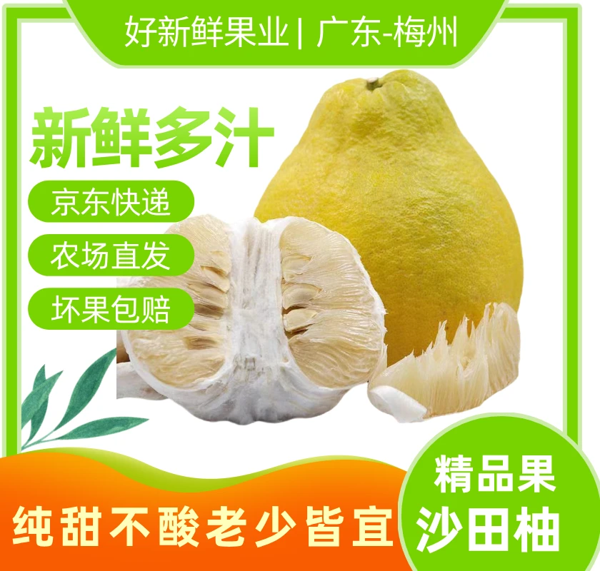 【纯甜不酸】正宗广东梅州沙田柚金柚新鲜水果清甜多汁净重5/10斤