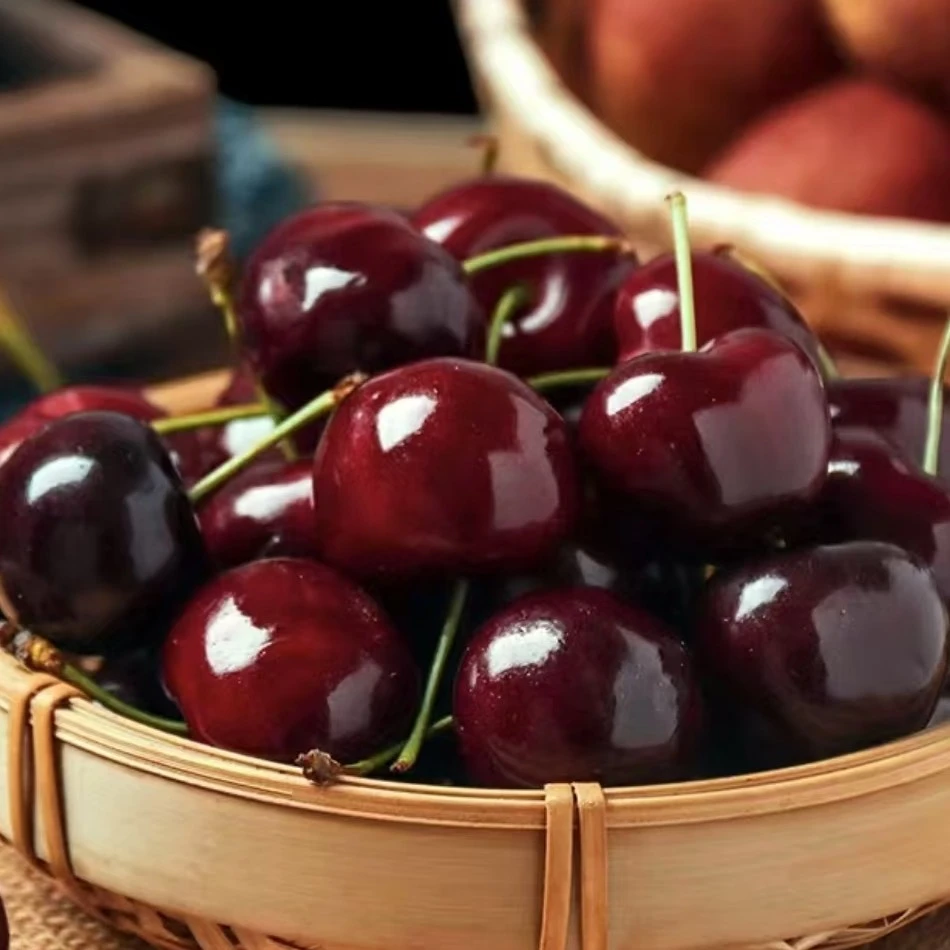 空运智利瑞吉纳2J车厘子净重5斤 内附果径卡