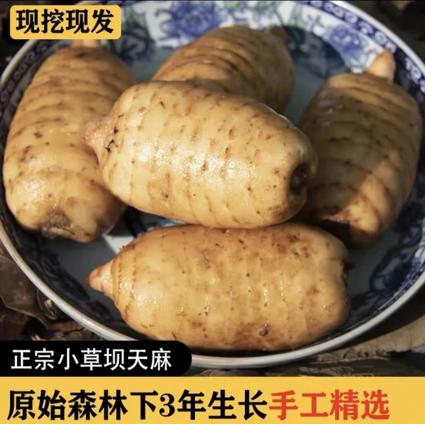 正宗云南昭通小草坝乌天麻