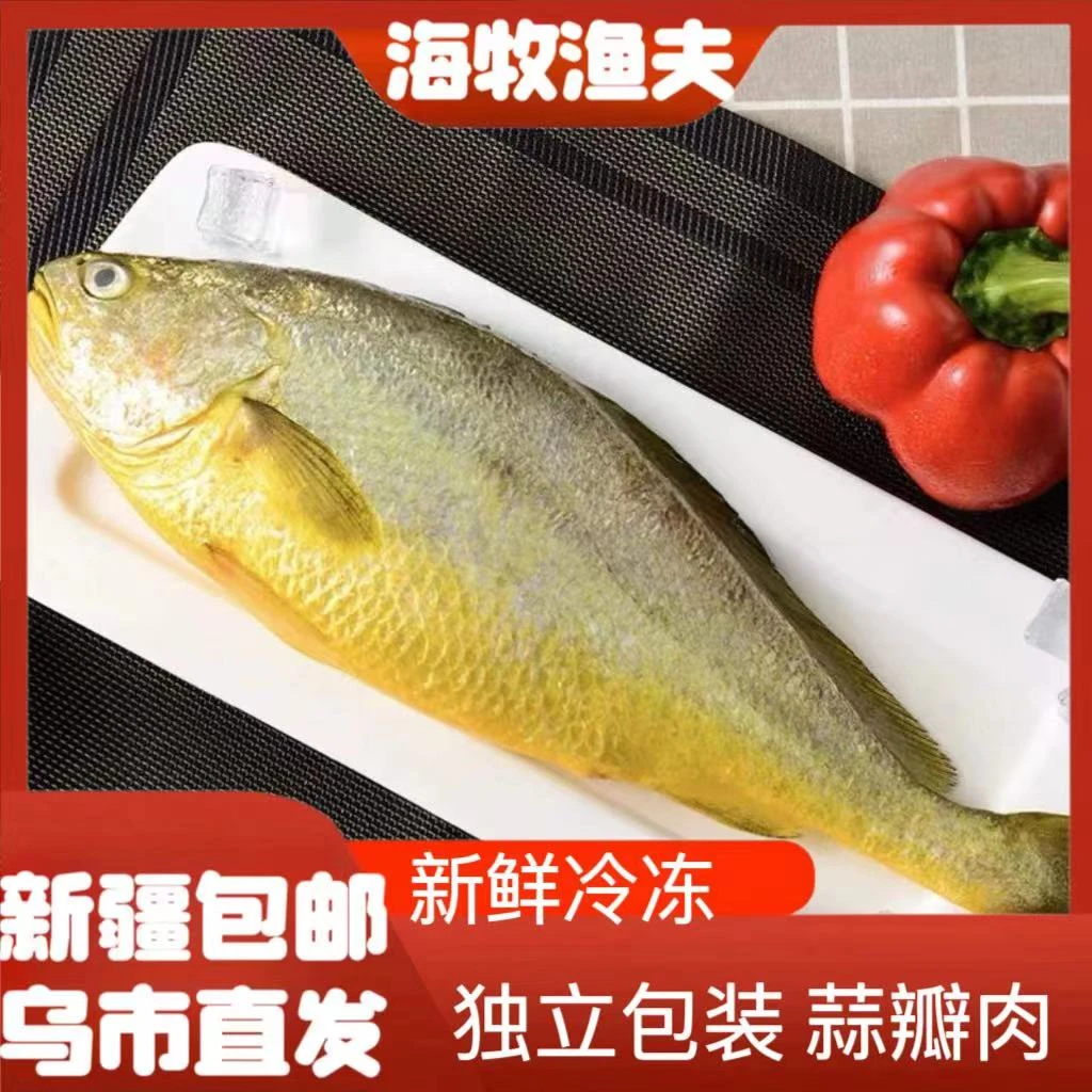福【新疆包邮】福建深海黄花鱼550-600g一条