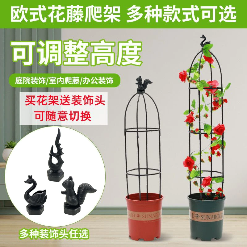 园艺爬藤花支架铁线莲飘香藤法国香水藤支架攀爬花架阳台支撑架子