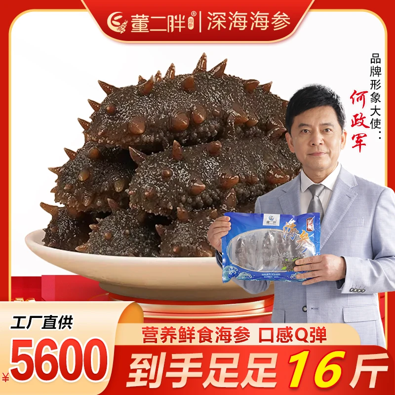 董二胖鲜食海参 Q弹16斤家庭装 好产地正宗品质