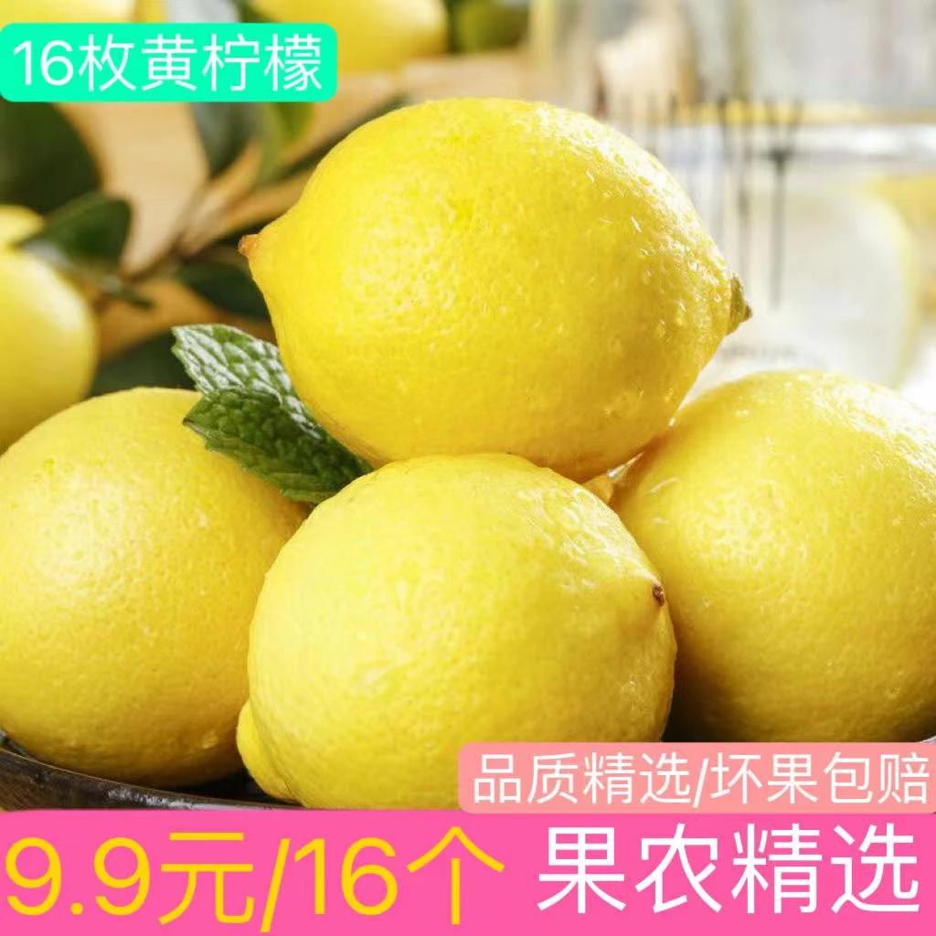 正宗四川安岳黄柠檬新鲜16枚精品果独立清新冲泡大小香气发货多汁
