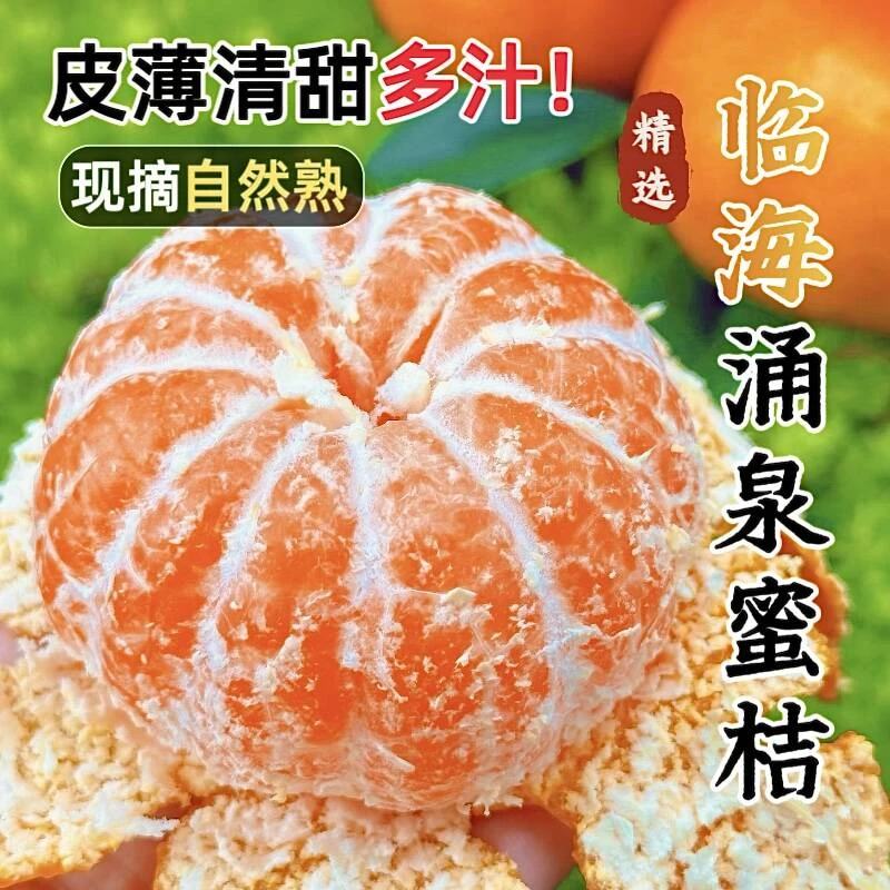正宗临海涌泉蜜桔精选新鲜采摘台州蜜桔薄皮无核产地直销送货上门
