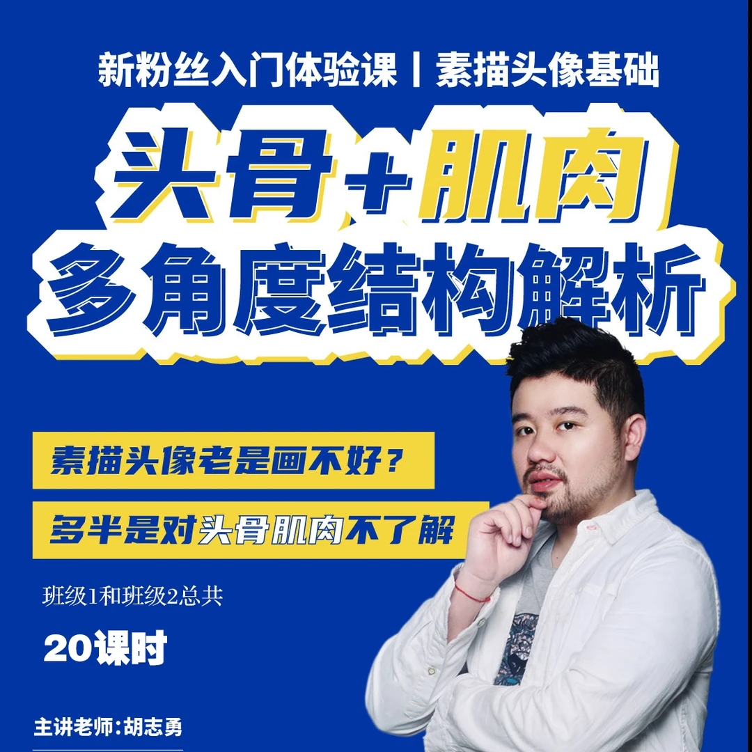 新粉丝福利|素描头骨肌肉多角度结构专项美术绘画课程学习培训