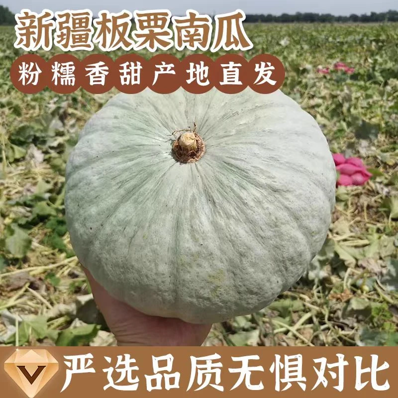 正宗新疆银板栗南瓜5斤粉糯香甜细腻产地直发自然成熟健康营养