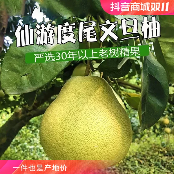 【整箱顺丰送货上门】--仙游度尾文旦柚中果到手6个无孔一级果单果规格1.0-1.5斤