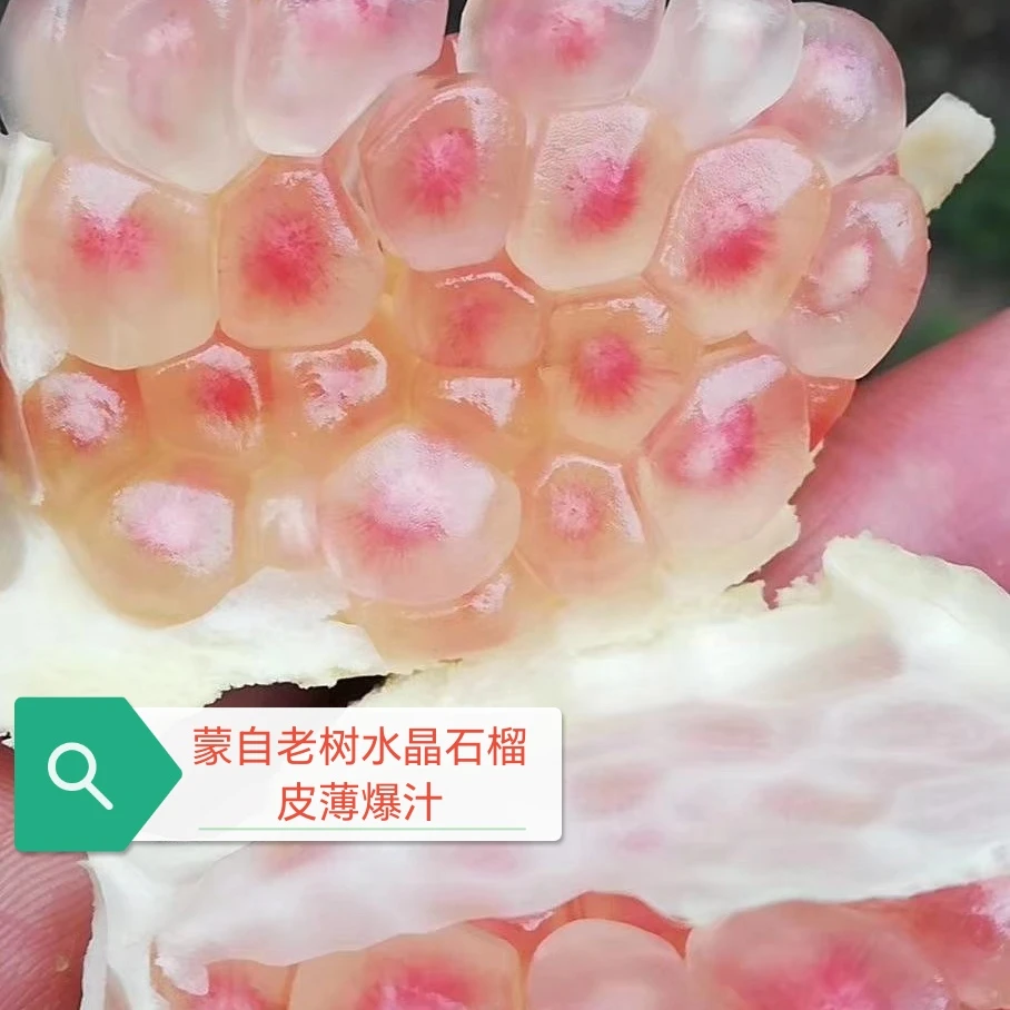 云南蒙自老树老品种水晶禄籽甜石榴皮薄多汁
