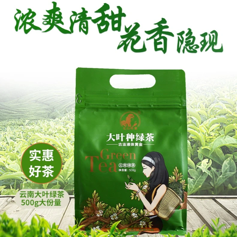 云南滇绿大叶种绿茶花香清甜浓香型品质鲜爽正宗普洱茶