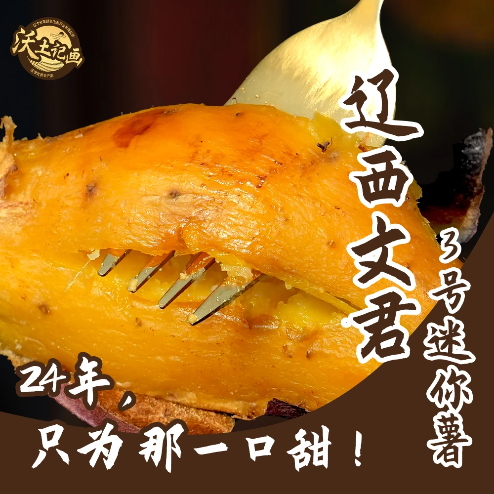 LXWJ/辽西文君3号迷你薯2斤装