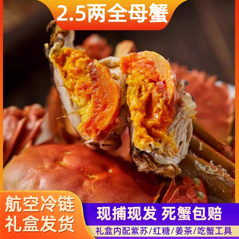 [活蟹]全母蟹2.5两精品挑高蟹8-12只礼盒装  苏州精品大闸蟹