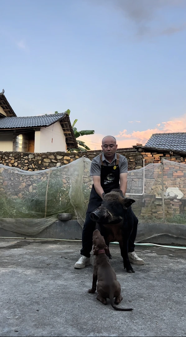 （新人尝鲜）阿三跑山猪顺丰包邮鲜嫩美味