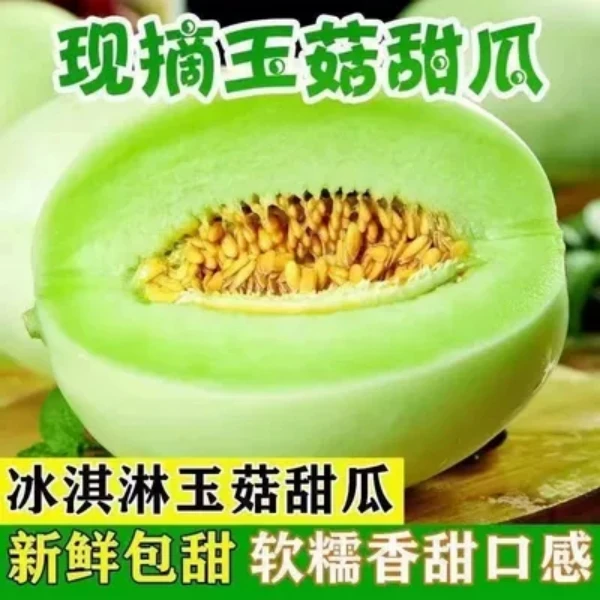【冰激凌玉菇】新鲜水果正宗玉菇整箱包邮当季冰淇淋香瓜蜜瓜5/9斤