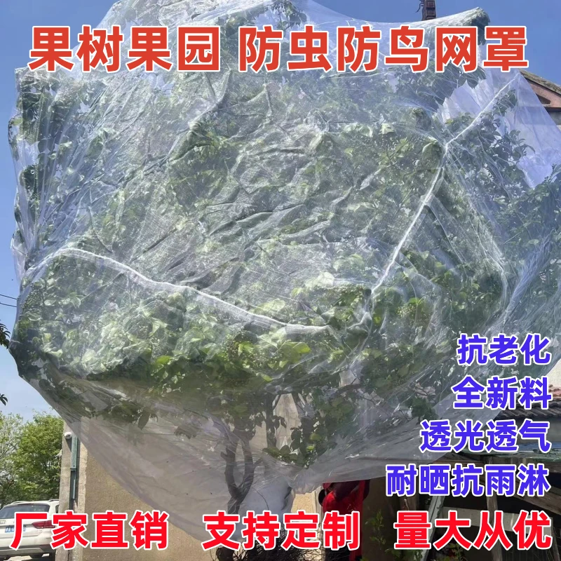 【热销中】果树防鸟防虫网罩杨梅蓝莓莲雾桃树樱桃罗曼蚊帐网罩定制