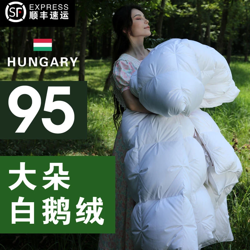 匈牙利进口95%白鹅绒被芯被子五星酒店高端羽绒被春秋被加厚冬被