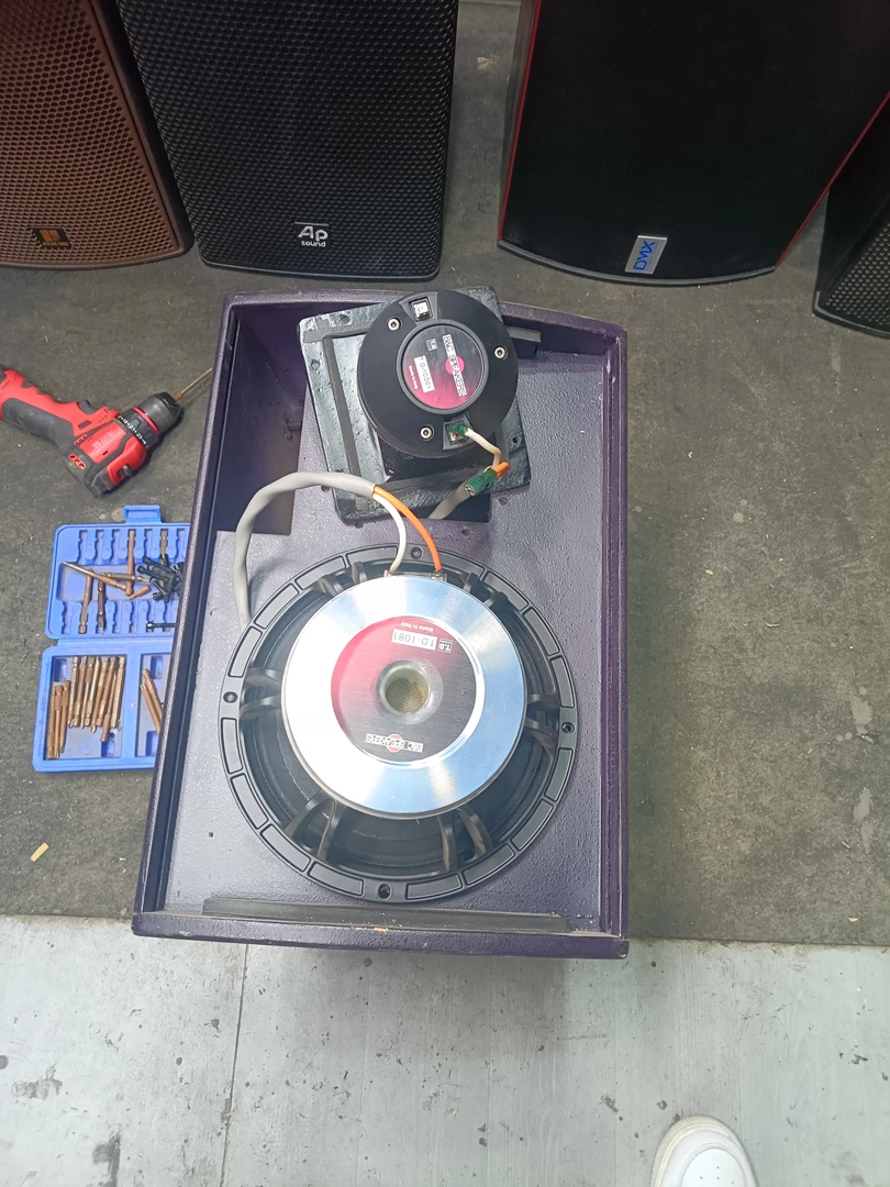 td10寸音响2只包邮