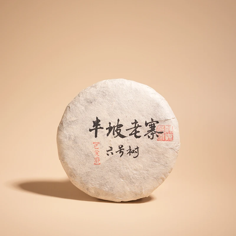 *静嘉堂*2019年春 半坡老寨 六号树-普洱生茶 200g