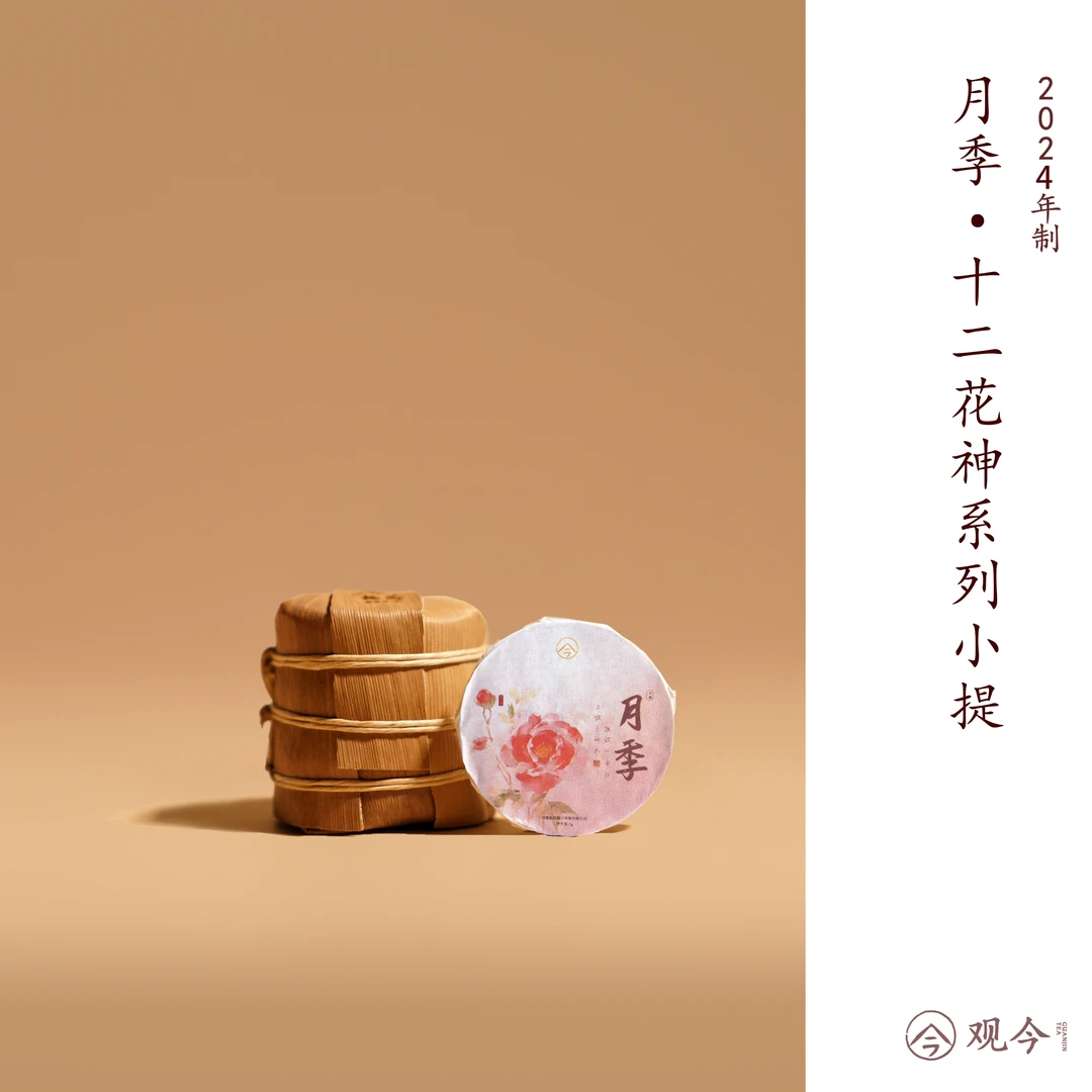 观今【2024年 月季】十二花神系列 普洱熟茶 mini小提 49克