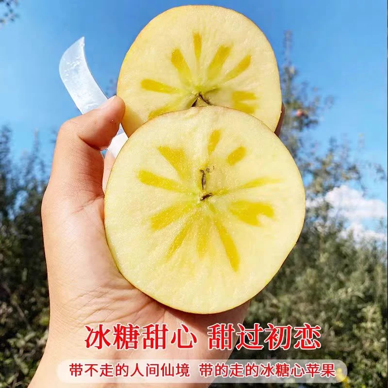 正宗超大超甜的富士苹果新鲜当季现摘整箱包邮批发黄金奶油大号