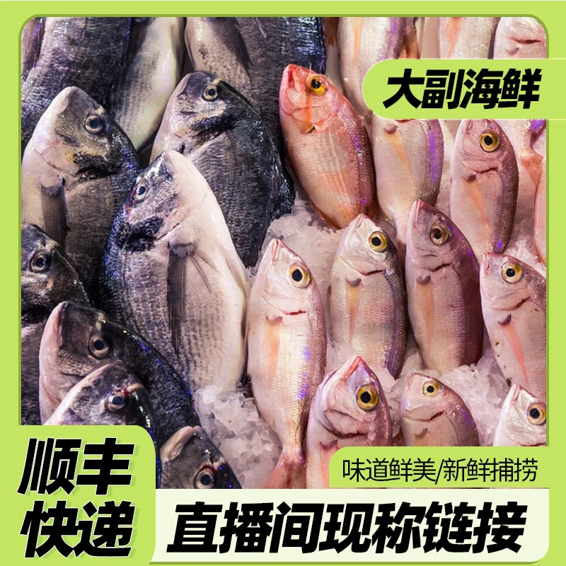 海杂鱼10斤（顺丰发货）