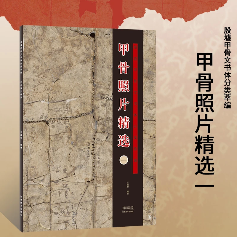 甲骨照片精选一殷墟甲骨文书体分类萃编 王蕴智文物考古工具书