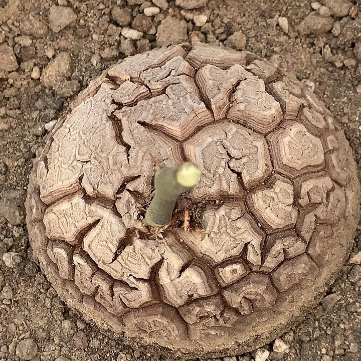 204龟1111111111111111