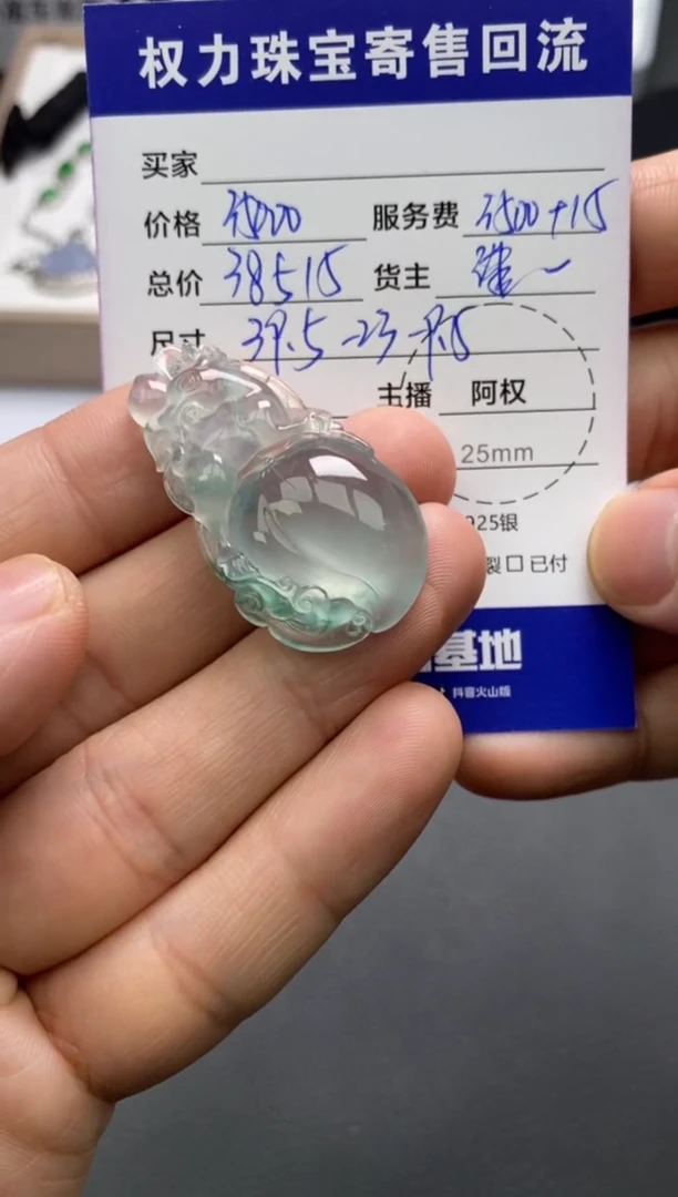 【闪购商品】翡翠颈饰未镶嵌寄售不退换