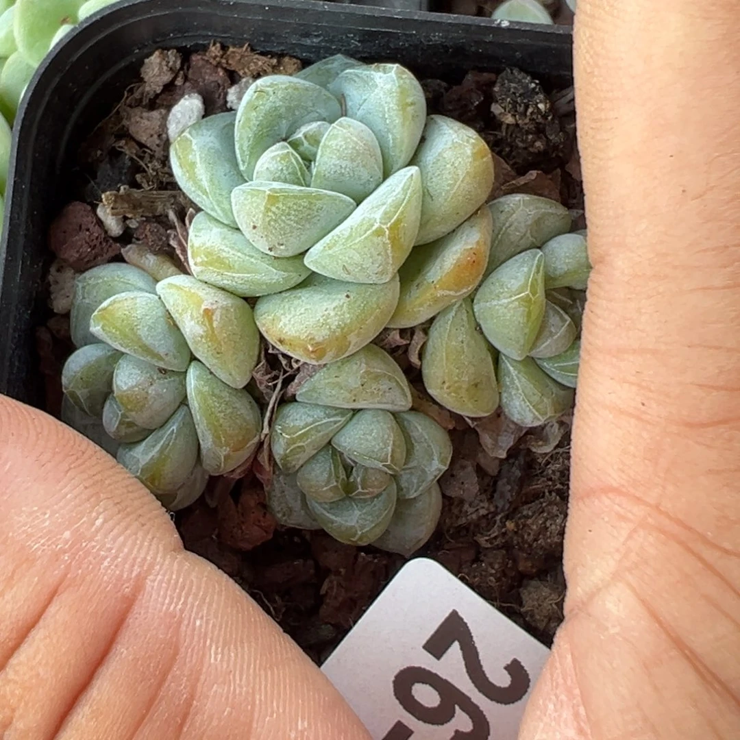 哈哈哈哈哈26-024