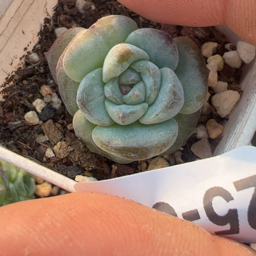 哈哈哈哈哈25-058