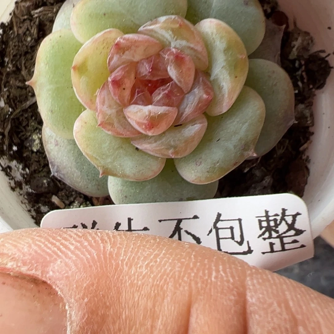 哈哈哈哈哈18-108