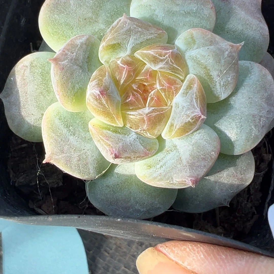 哈哈哈哈哈1-125