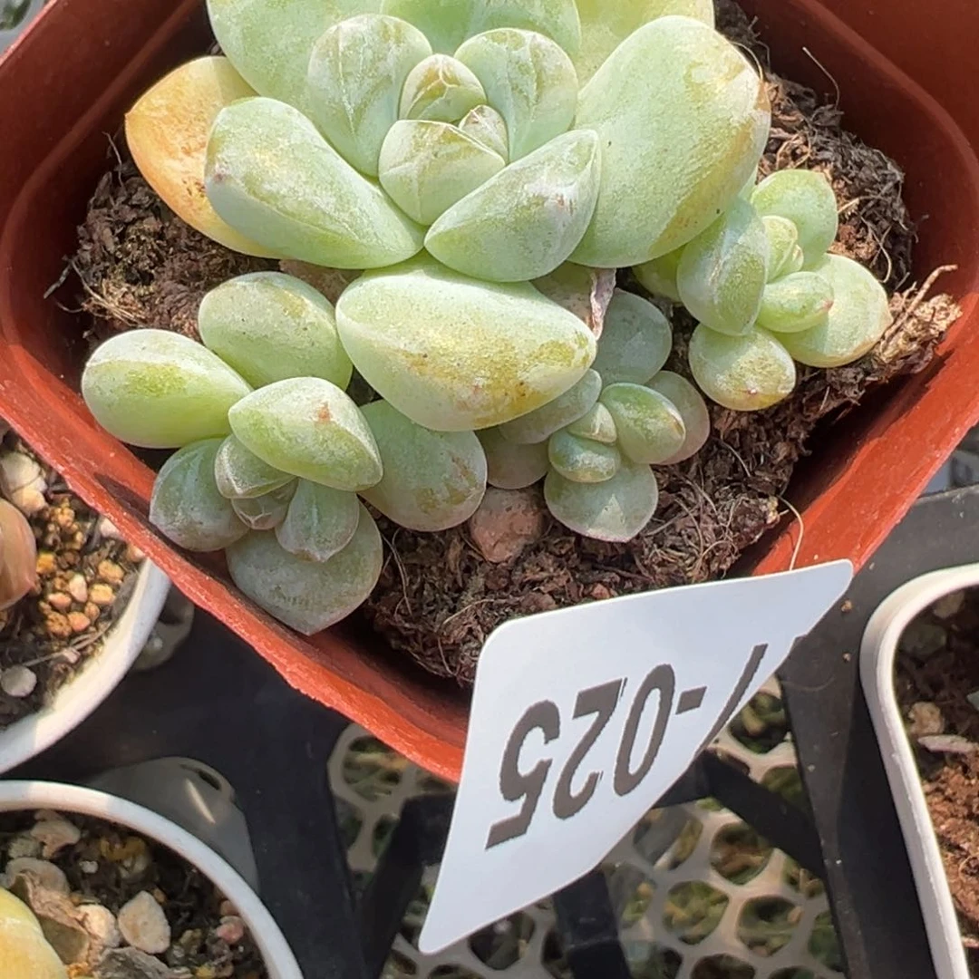 哈哈哈哈哈17-025