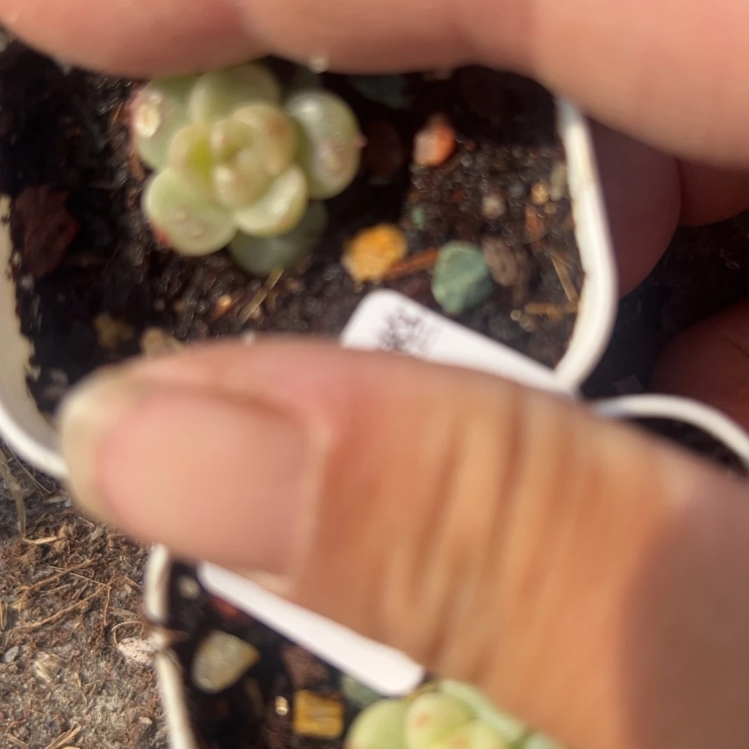 想***·哈哈哈哈哈5-089