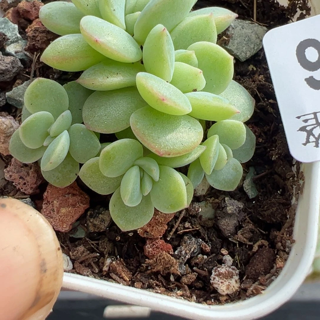 哈哈哈哈哈18-086