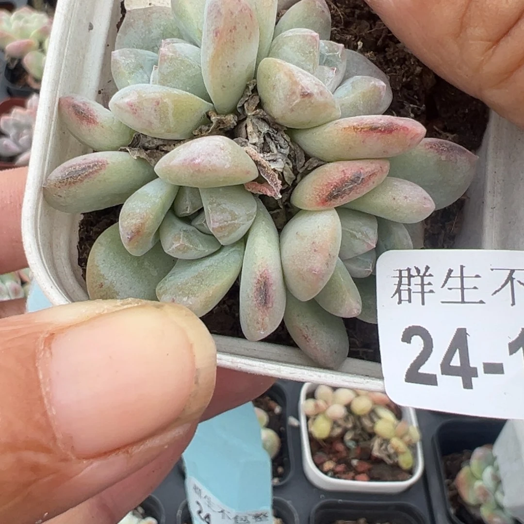 哈哈哈哈哈24-156