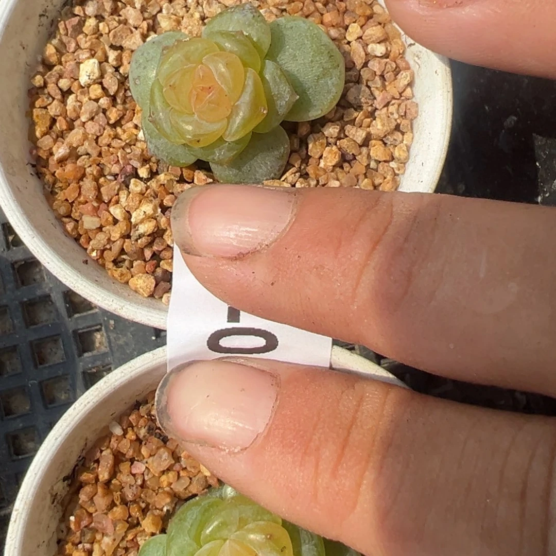 哈哈哈哈哈25-046