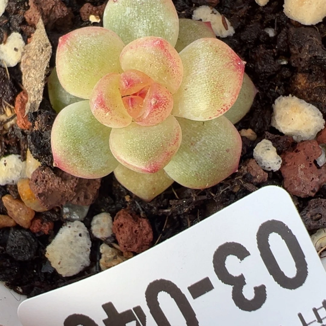 用****8哈哈哈哈哈3-043