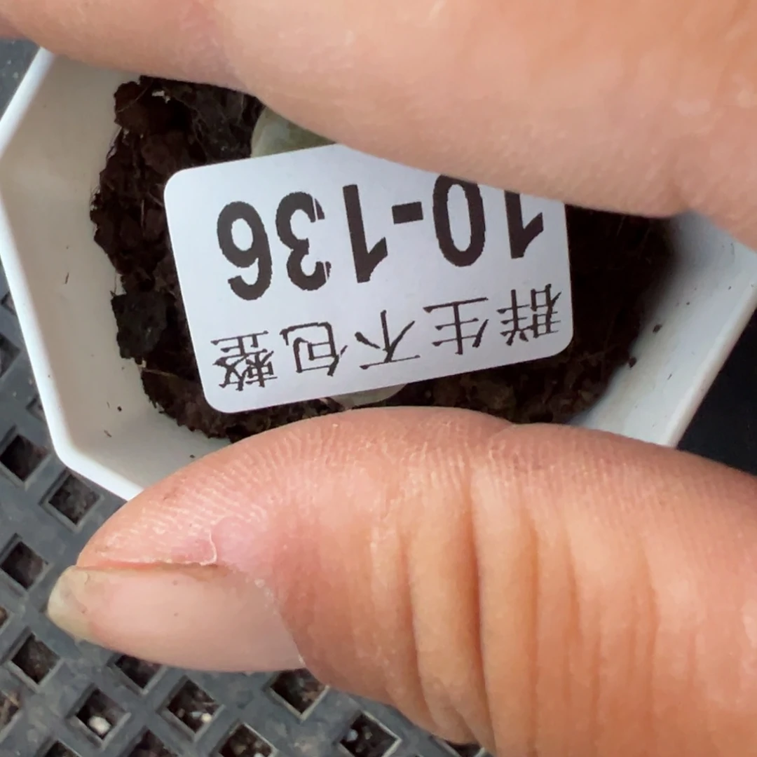 哈哈哈哈哈10-136