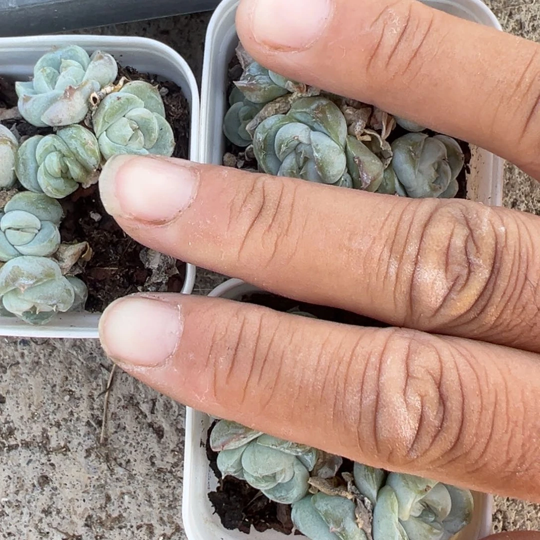 哈哈哈哈哈24-066