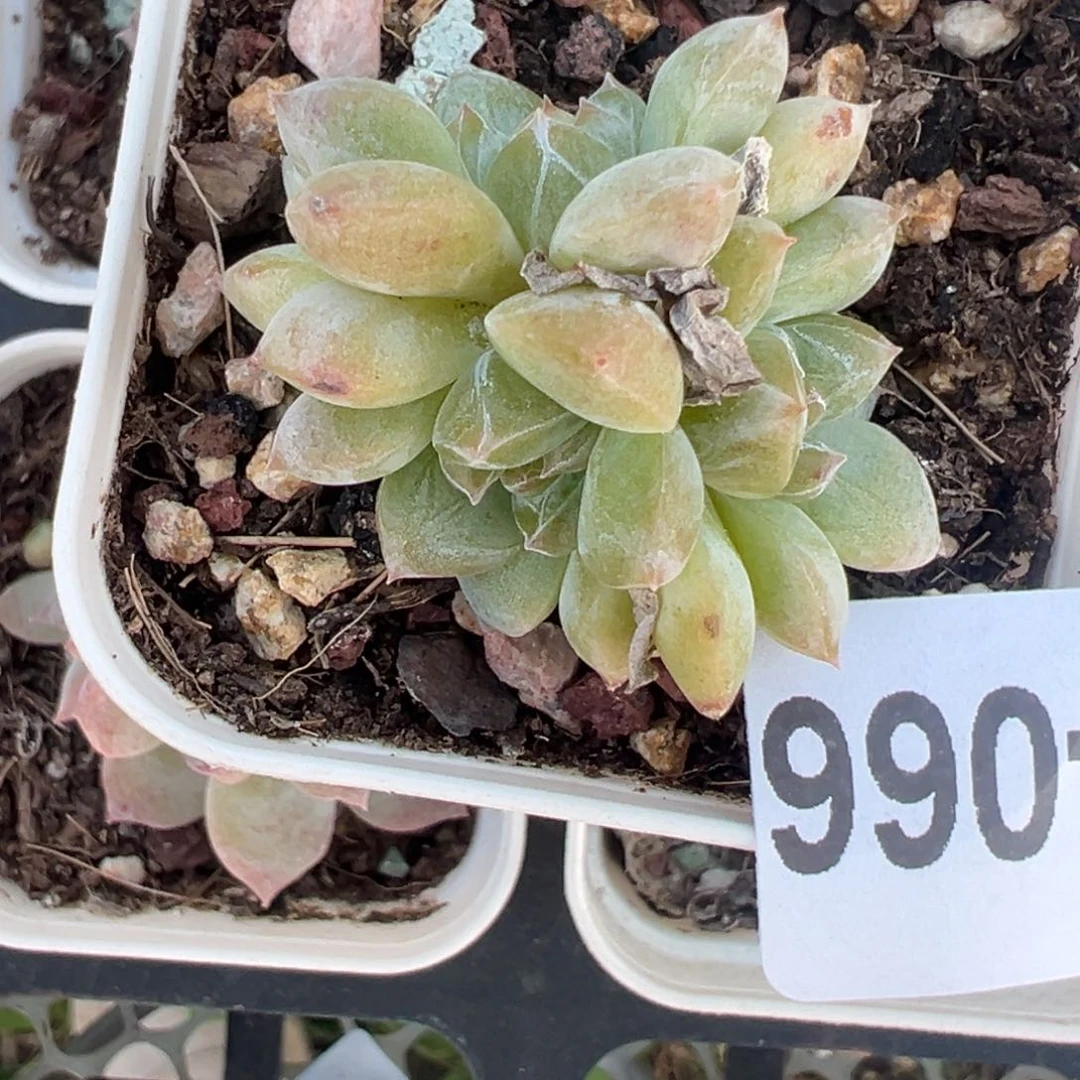 哈哈哈哈哈25-066