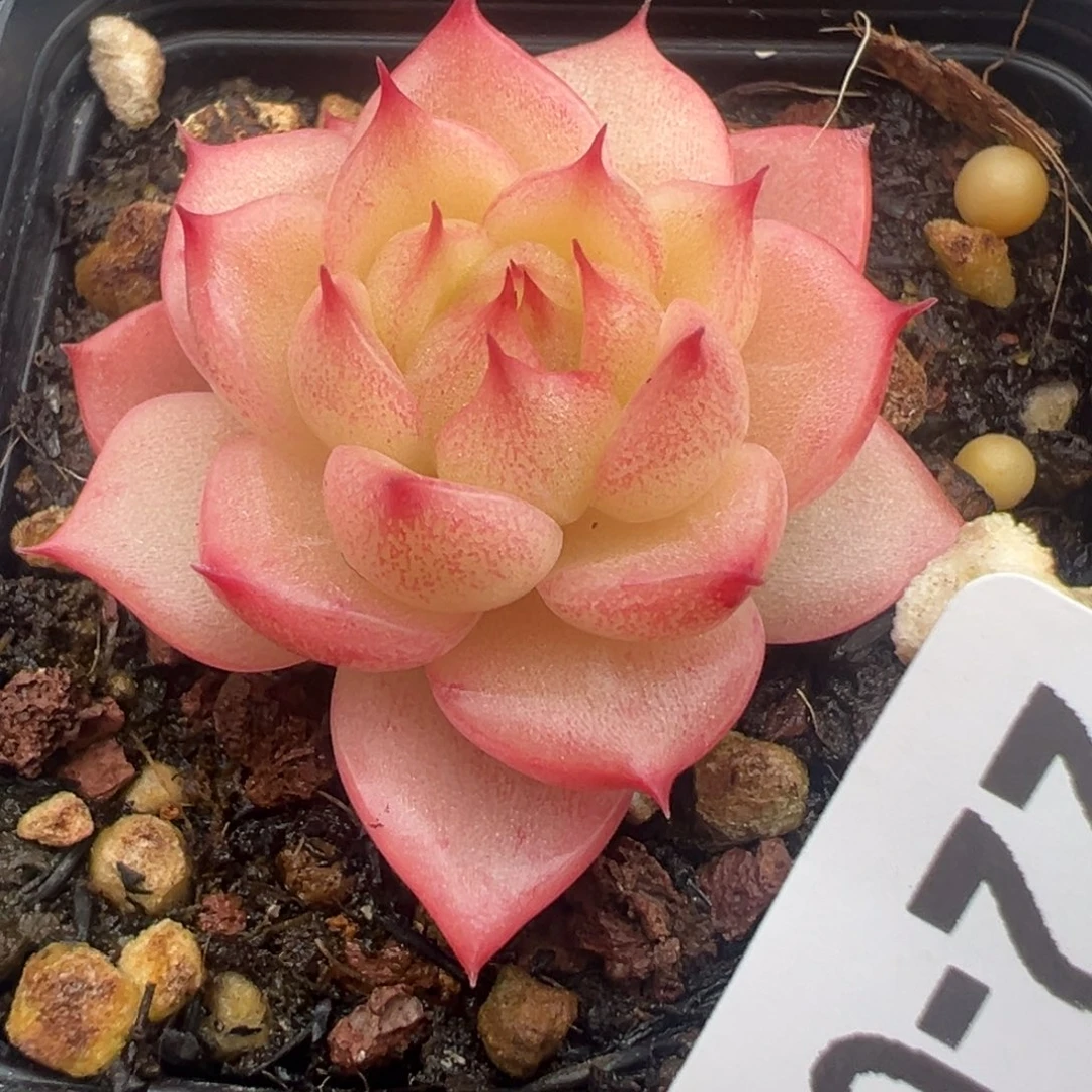 哈哈哈哈哈22-012