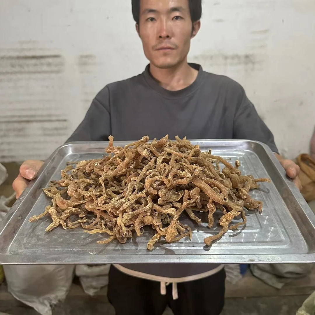 玉竹 地管子 大山里自己采挖的非种植无硫非种植玉竹100g