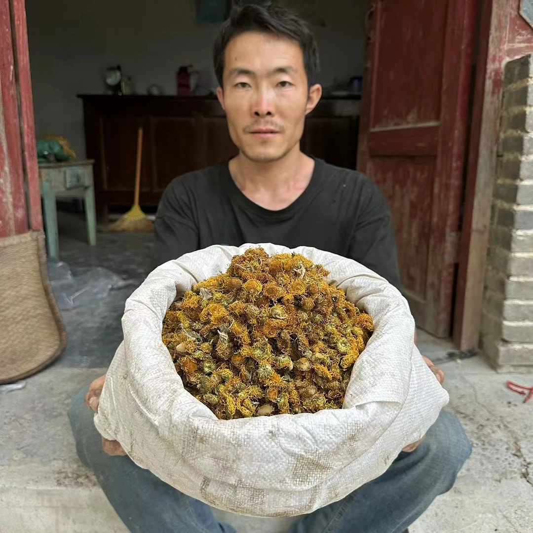 旋覆花 甘肃旋覆花 旋复花 非种植的无硫150g